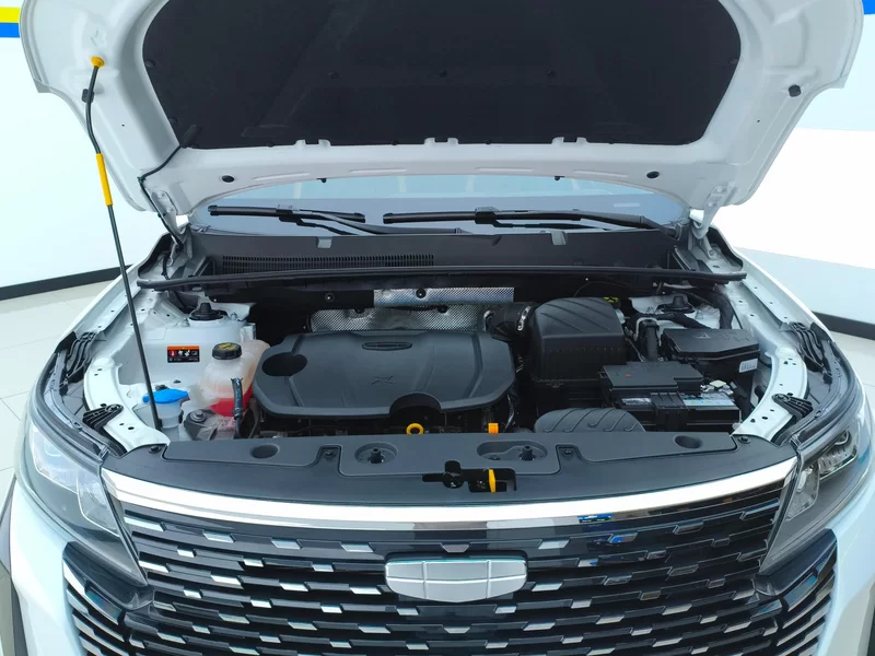 GEELY OkavangoPRO 2025 car image #8