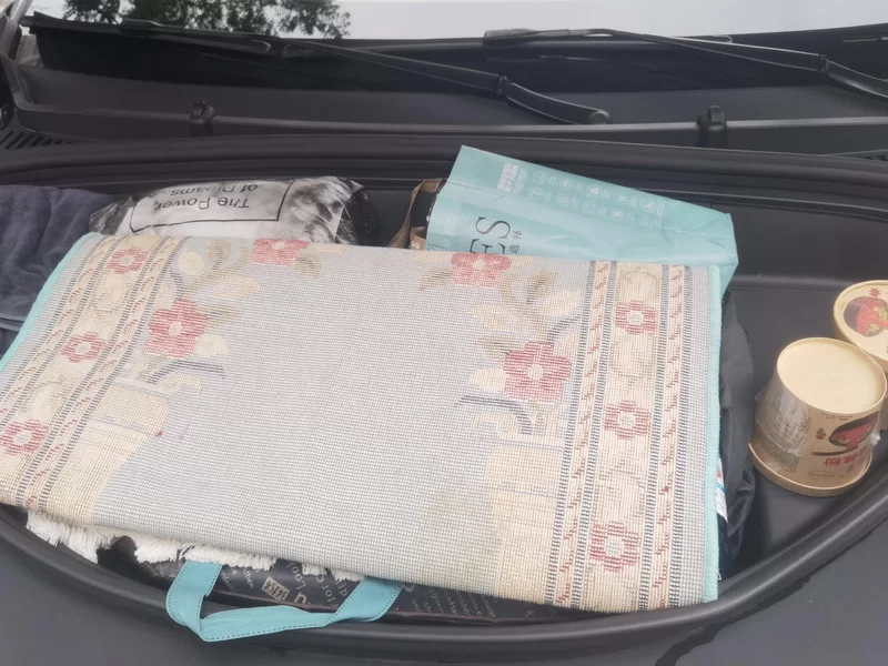 BYD Sea Lion 06 New Energy 2025 car image #8