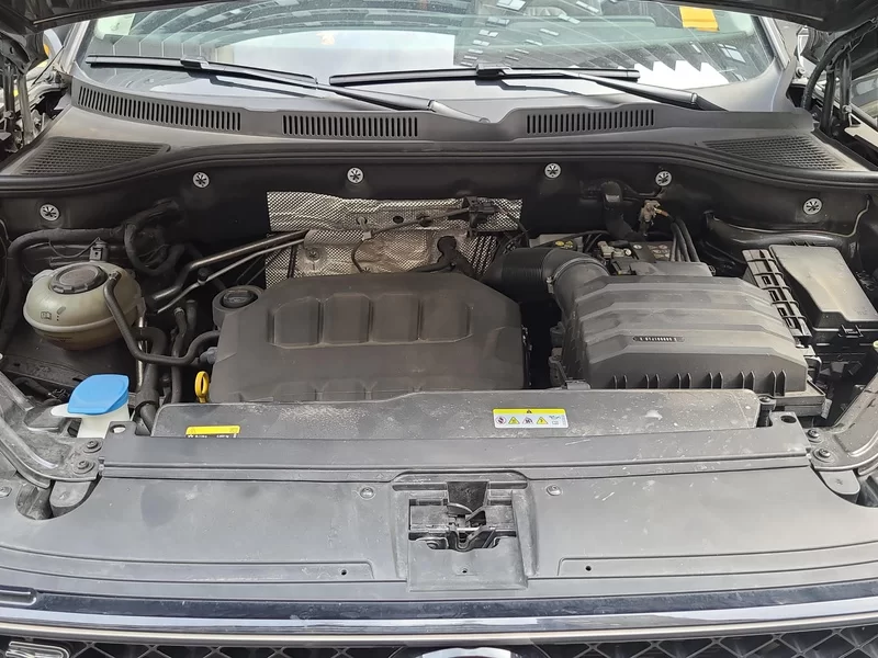 Volkswagen Tavendor 2023 car image #8