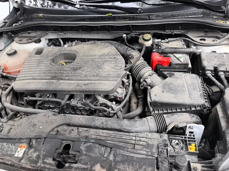 Ford Escape 2021 immagine di auto #8