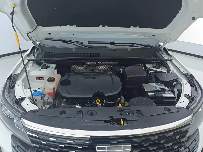 GEELY OkavangoPRO 2024 car image #8