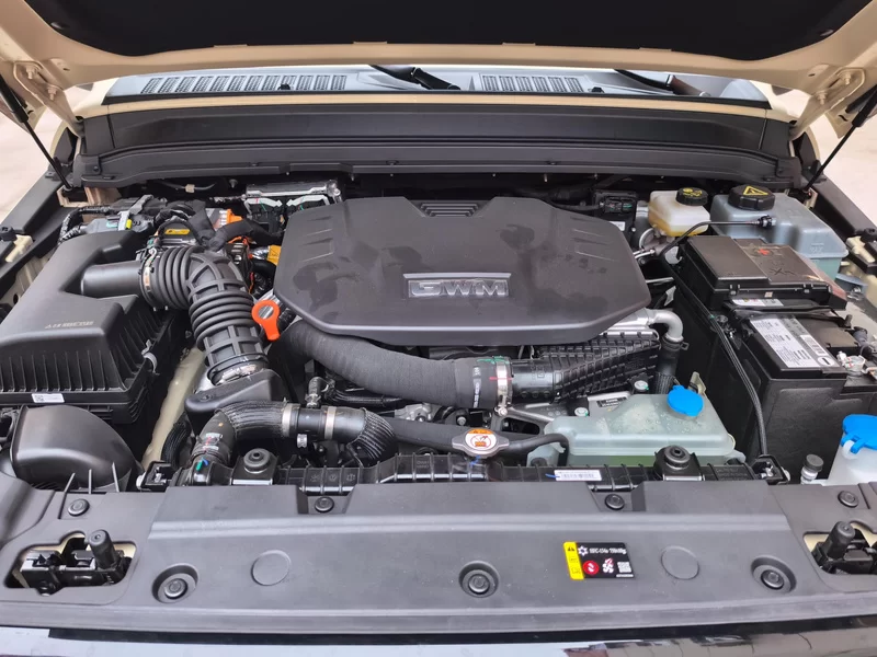 Tank 300 New Energy 2025 car image #8