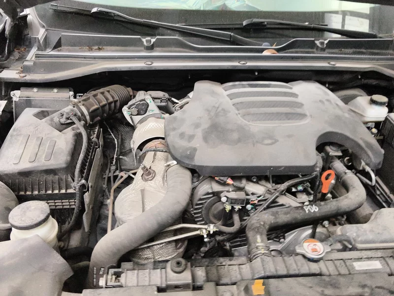 Great Wall Jingang Pao 2022 #8 Great Wall Jingang Pao 2022 car image #8