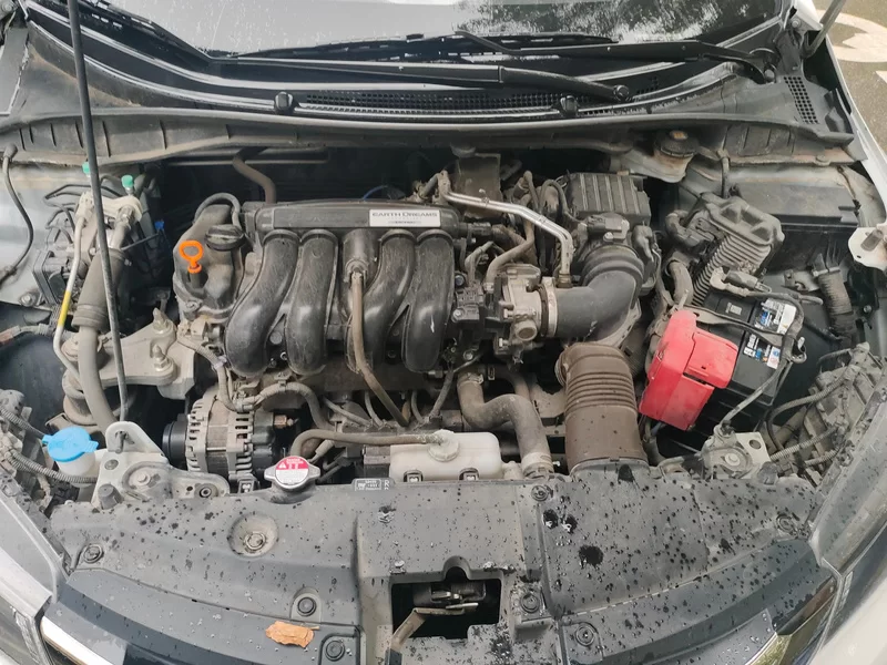 本田 锋范 2019 #8 本田 锋范 2019 汽车图片 #8