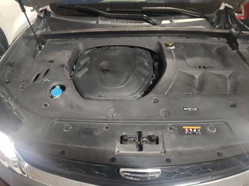 GEELY Tugella S 2022 #8 GEELY Tugella S 2022 car image #8