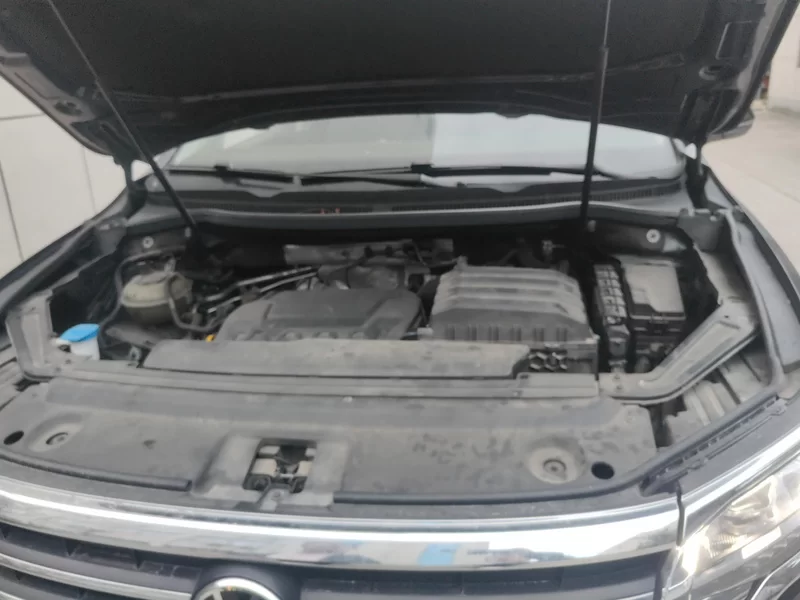 Volkswagen Viloran 2022 car image #8