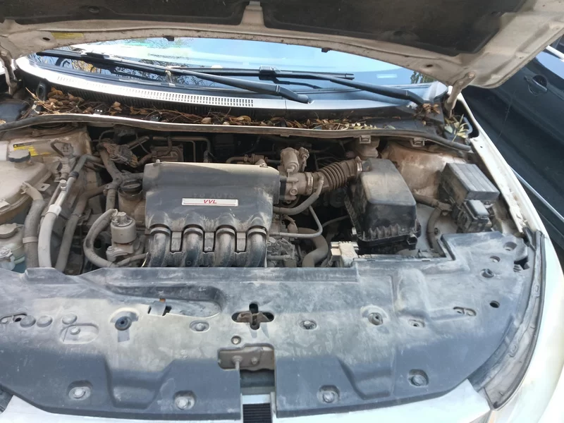 BYD SuRui 2015 car image #8