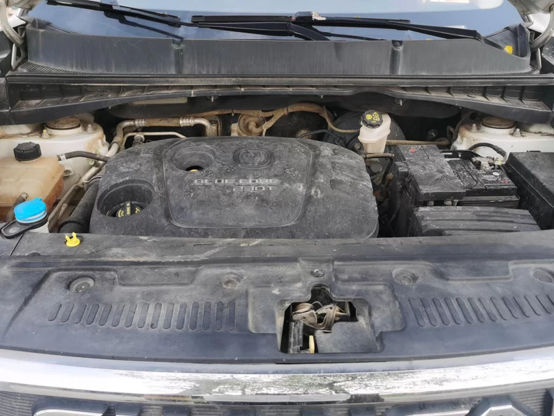 Changan CS55 2018 imagen de coche #8