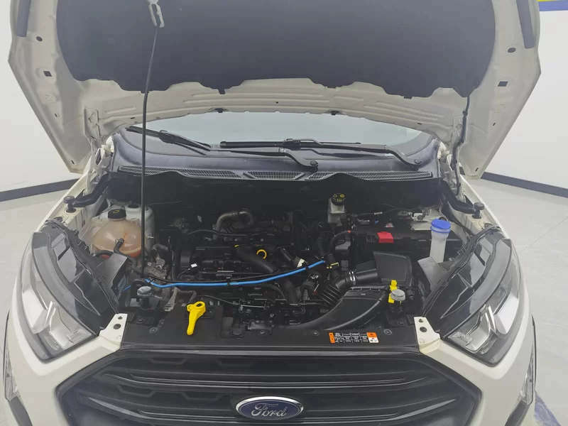 Ford EcoSport 2018 image de voiture #8