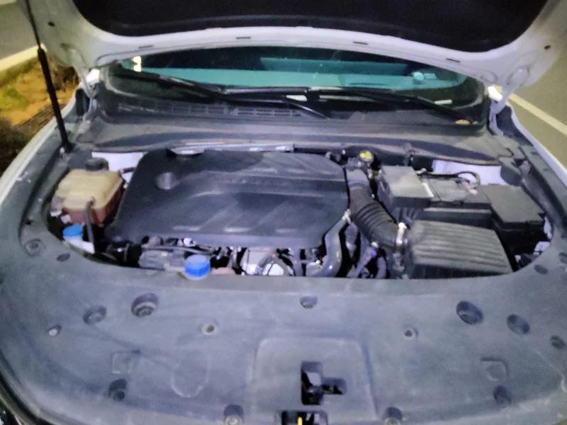 Changan Raeton Plus 2022 car image #8