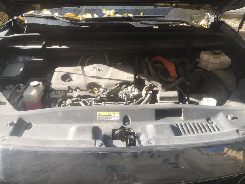 Toyota Crown Kluger 2023 #8 Toyota Crown Kluger 2023 immagine di auto #8