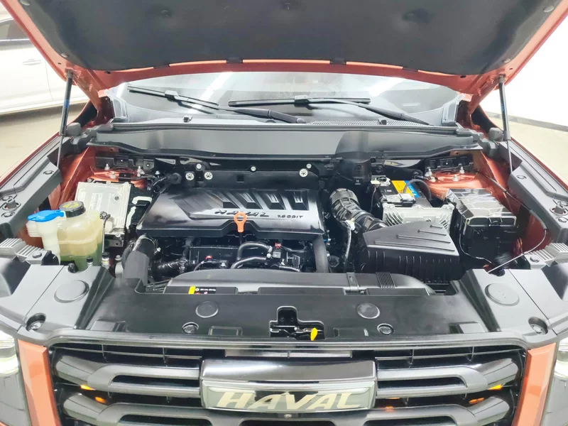 Haval X Dog / Dargo 2021 #8 Haval X Dog / Dargo 2021 صورة سيارة #8