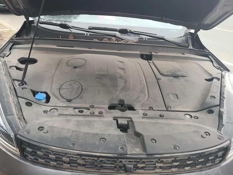 Kaiyi Showjet Pro 2022 #8 Kaiyi Showjet Pro 2022 car image #8