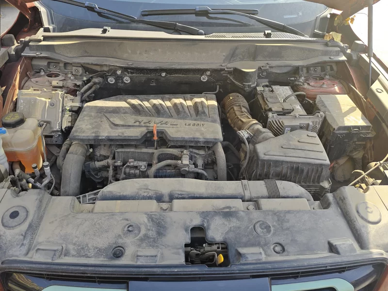 Haval X Dog / Dargo 2021 #8 Haval X Dog / Dargo 2021 car image #8