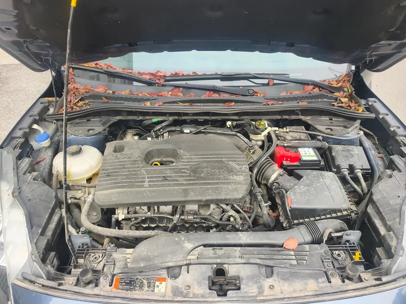 Ford Escape 2022 immagine di auto #8