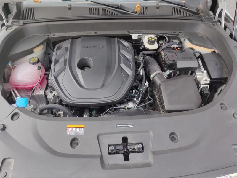 GEELY Tugella 2024 car image #8