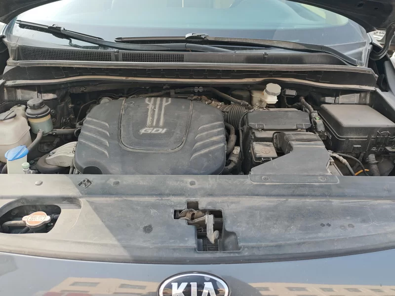 Kia Carnival (Imported) 2016 immagine di auto #8