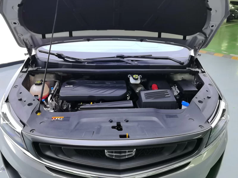 GEELY JiaJi 2021 #8 GEELY JiaJi 2021 car image #8