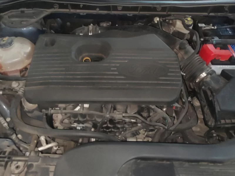 Ford Escape 2020 immagine di auto #8