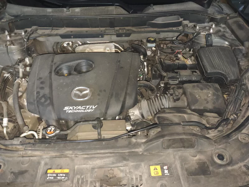 Mazda CX-8 2019 car image #8