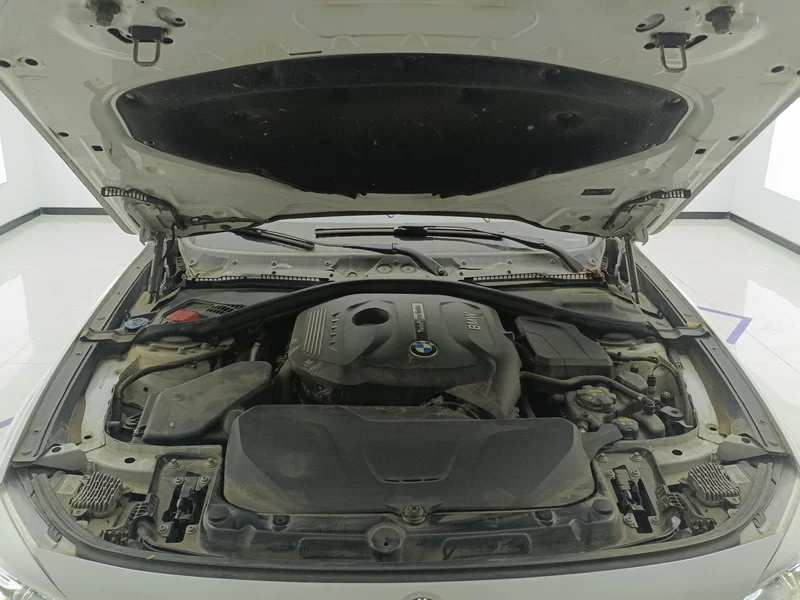 BMW 3 Series GT 2017 #8 BMW 3 Series GT 2017 immagine di auto #8