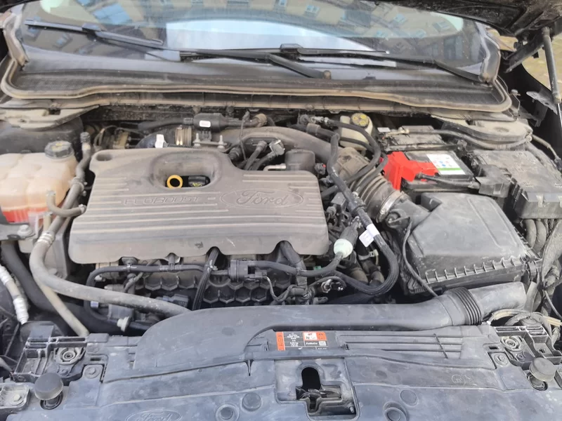 Ford Evos 2021 immagine di auto #8