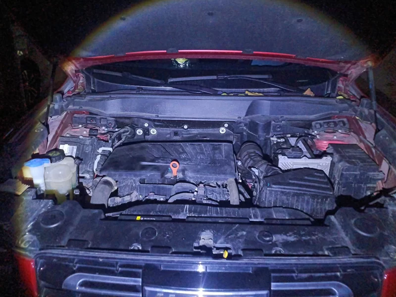 Haval X Dog / Dargo 2021 #8 Haval X Dog / Dargo 2021 car image #8