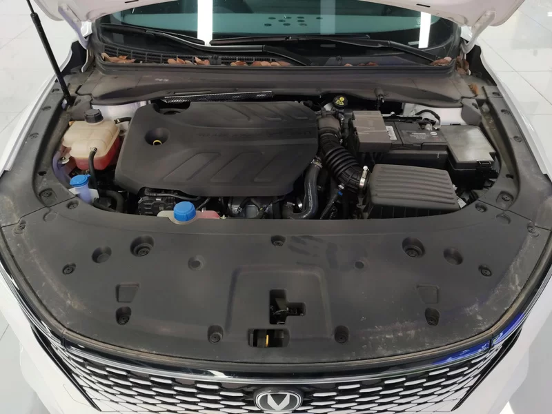 Changan Raeton Plus 2024 car image #8