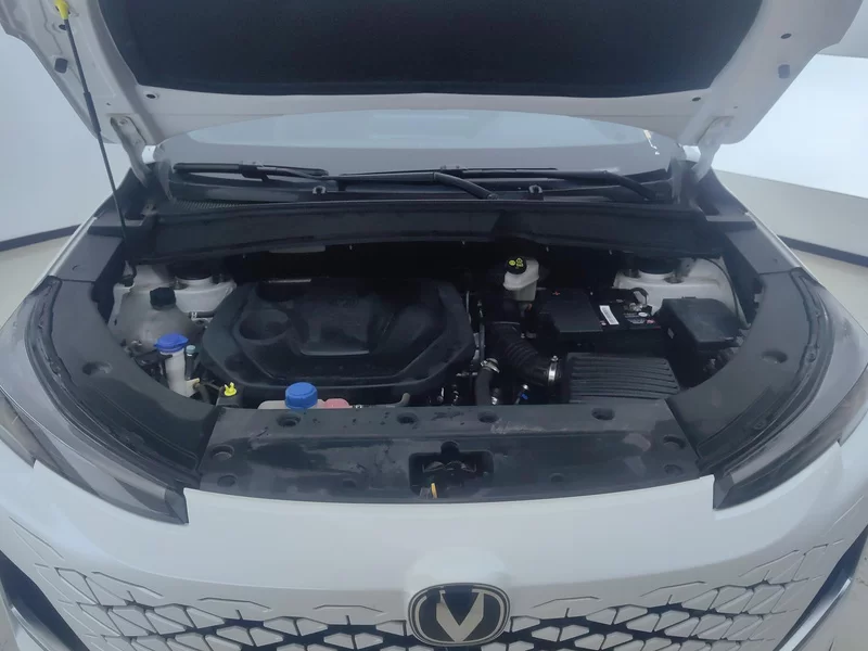 Changan CS55PLUS PHEV 2023 immagine di auto #8