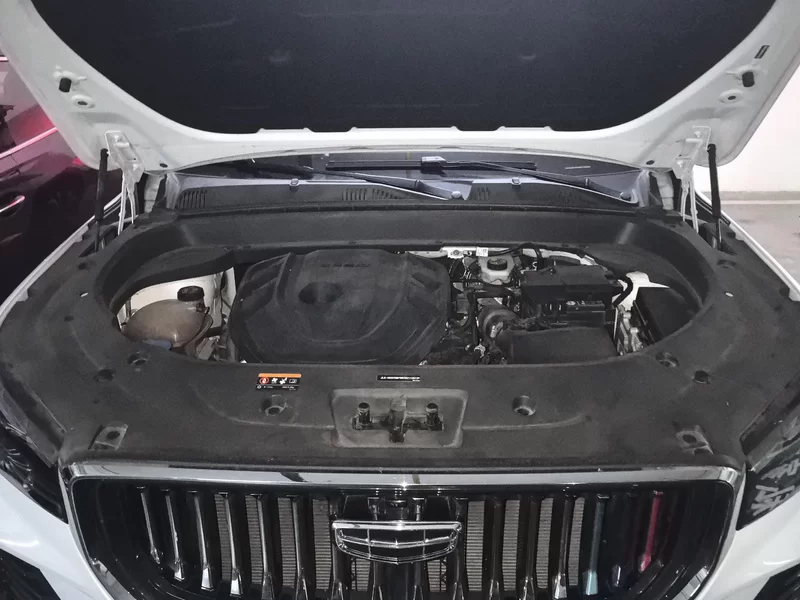 GEELY Tugella 2021 #8 GEELY Tugella 2021 car image #8