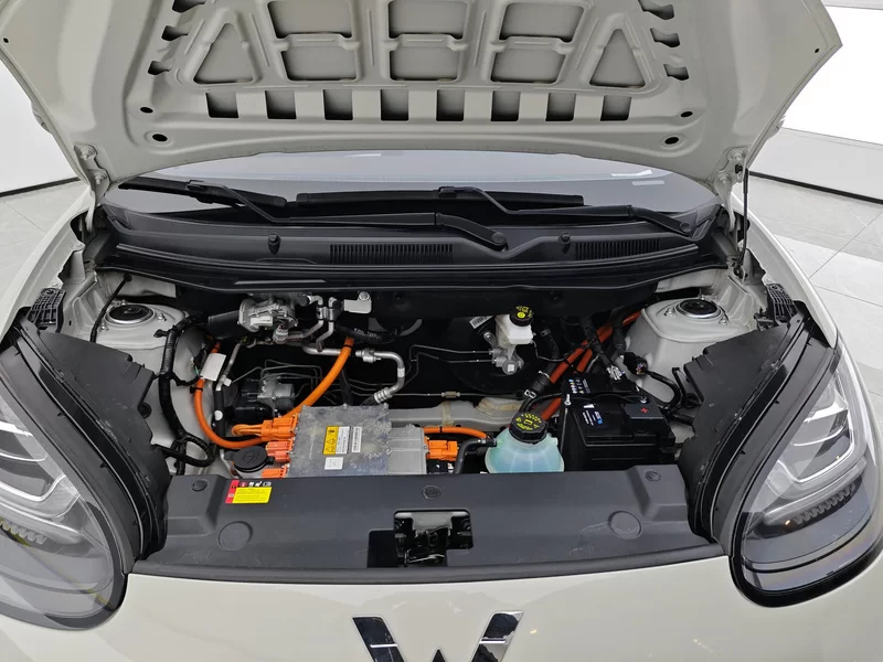 五菱汽车 五菱缤果 2023 汽车图片 #8