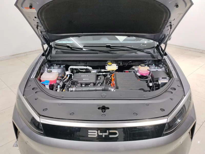 BYD Sea Lion 05 DM-i 2025 car image #8