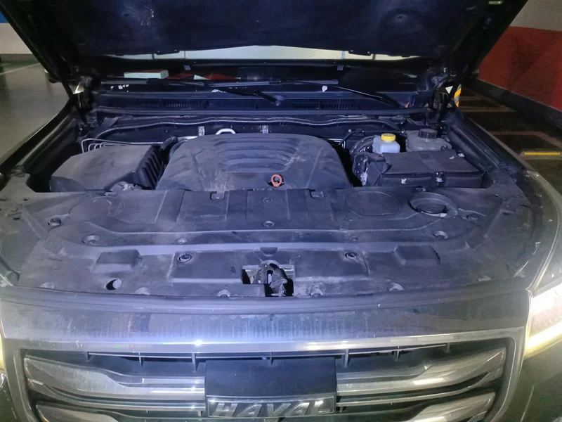 Haval H9 2019 car image #8