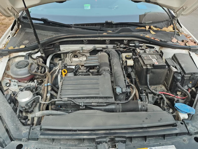 Volkswagen Lamando 2021 immagine di auto #8