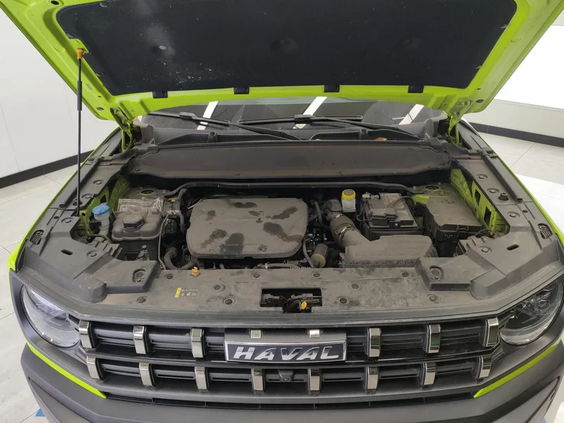 Haval Dargo 2022 immagine di auto #8