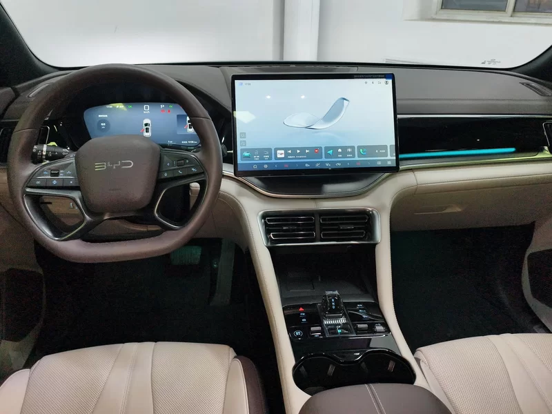 BYD Song Plus New Energy 2025 immagine di auto #8