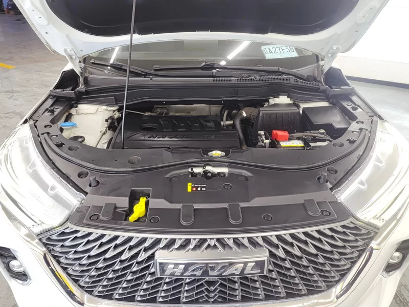 Haval M6 2021 car image #8