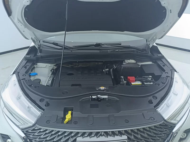 Haval M6 2021 car image #8