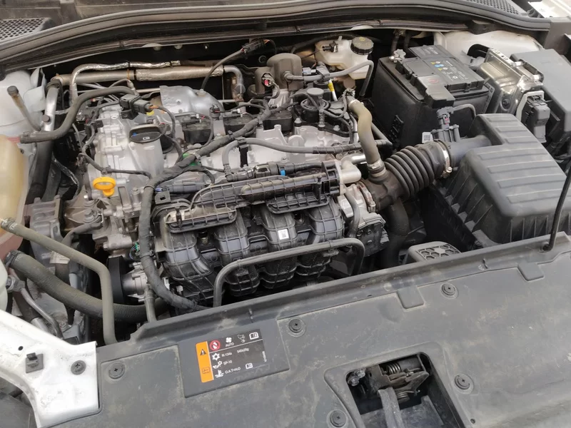5 2024 #8 5 2024 immagine di auto #8
