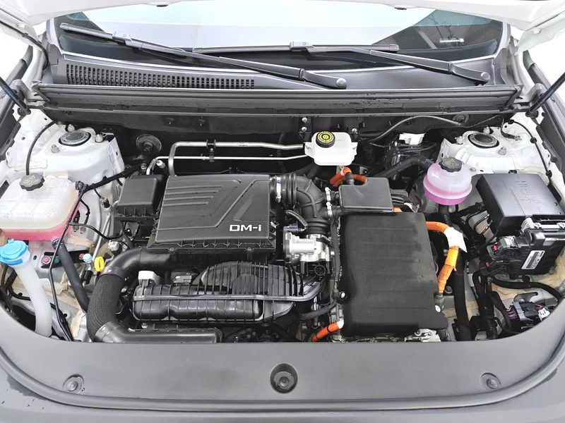 BYD Song Pro New Energy 2024 car image #8