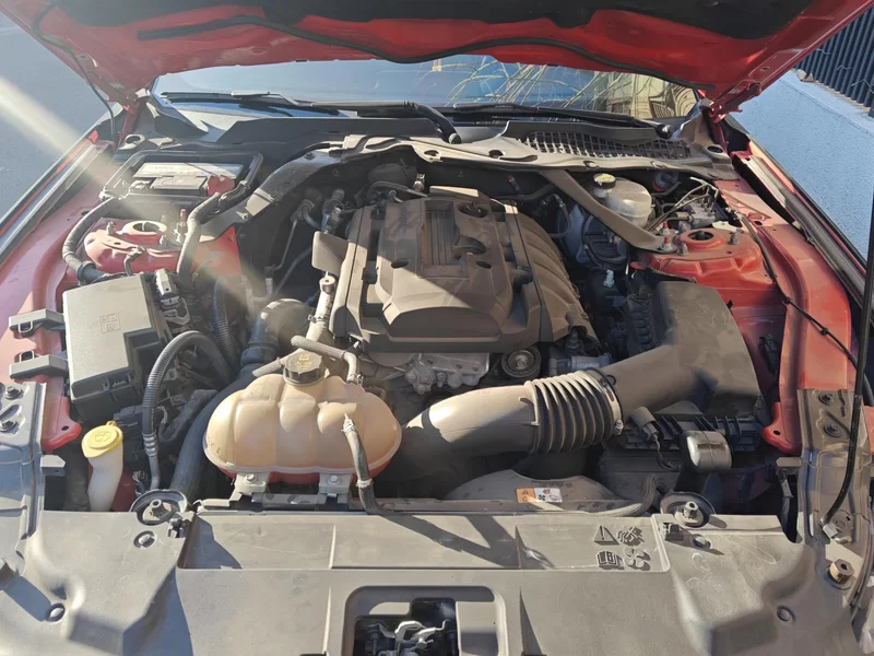 Ford 2019 #8 Ford 2019 car image #8