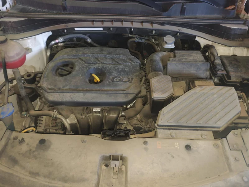 起亚 起亚KX5 2023 汽车图片 #8