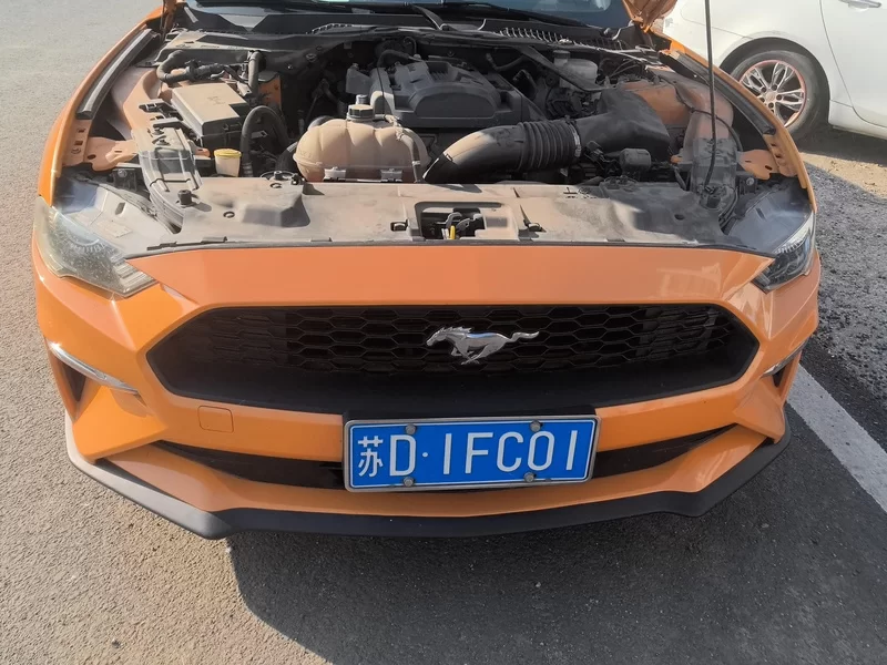 Ford Mustang 2019 car image #8