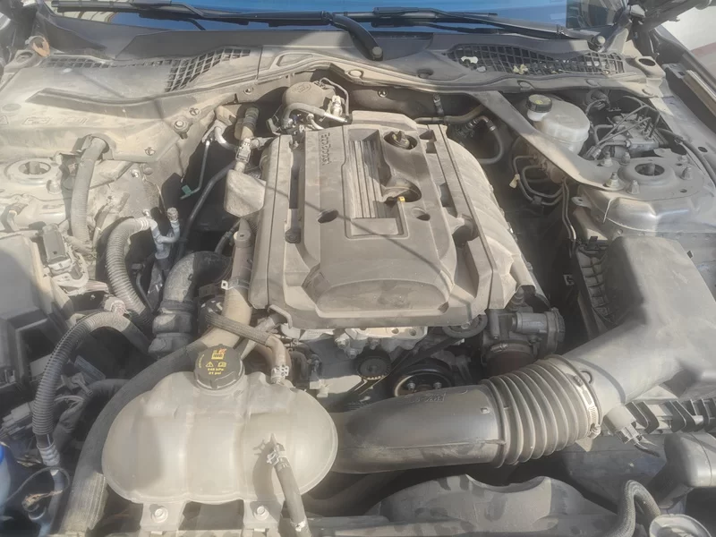 Ford 2023 car image #8