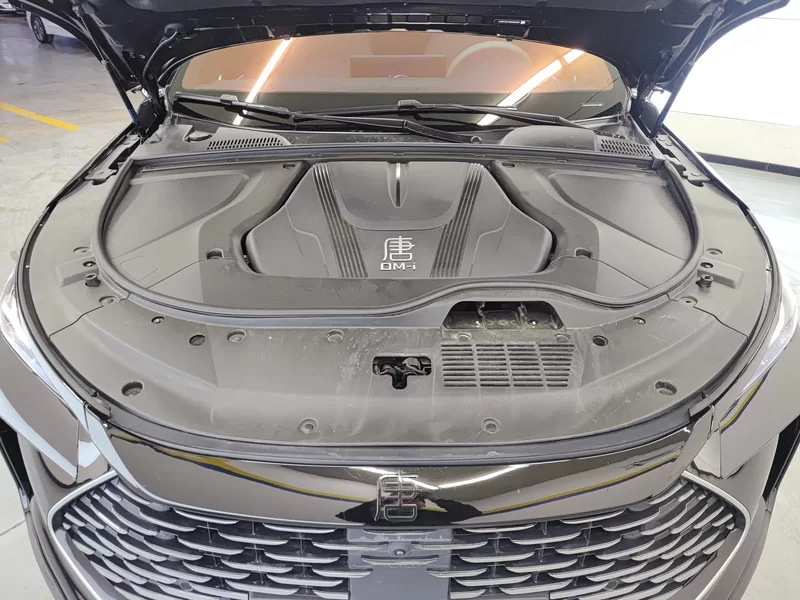 BYD 2024 #8 BYD 2024 صورة سيارة #8