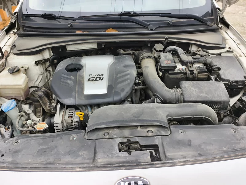 Kia 2014 car image #8