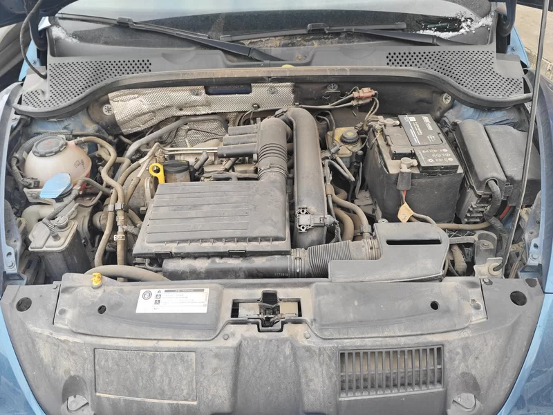 Volkswagen Beetle 2018 immagine di auto #8