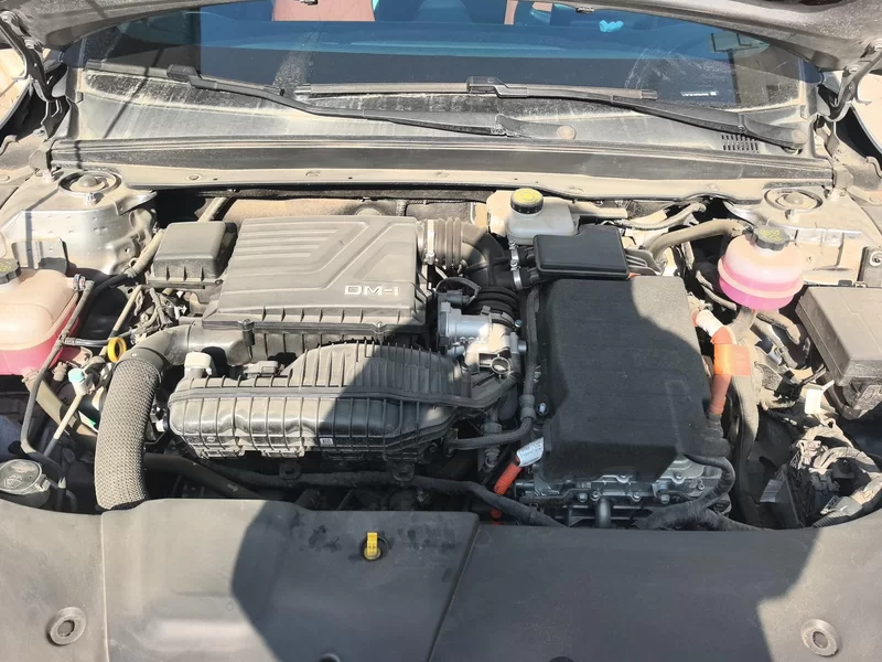 BYD Destroyer 05 2024 изображение автомобиля #8