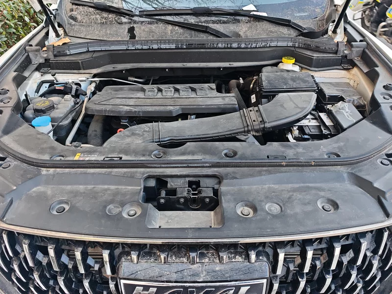 Haval H6 2024 car image #8