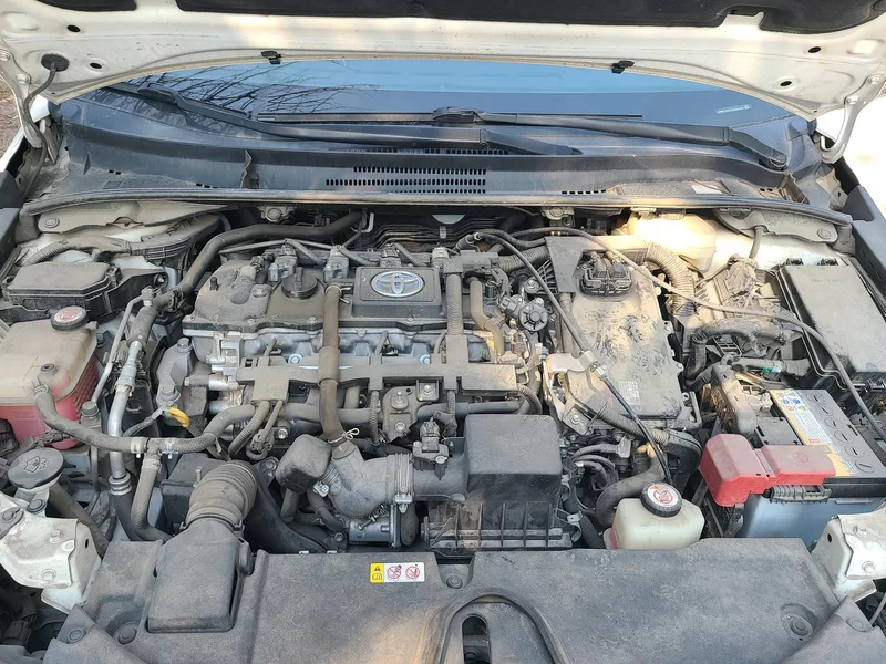 丰田 卡罗拉 2019 汽车图片 #8